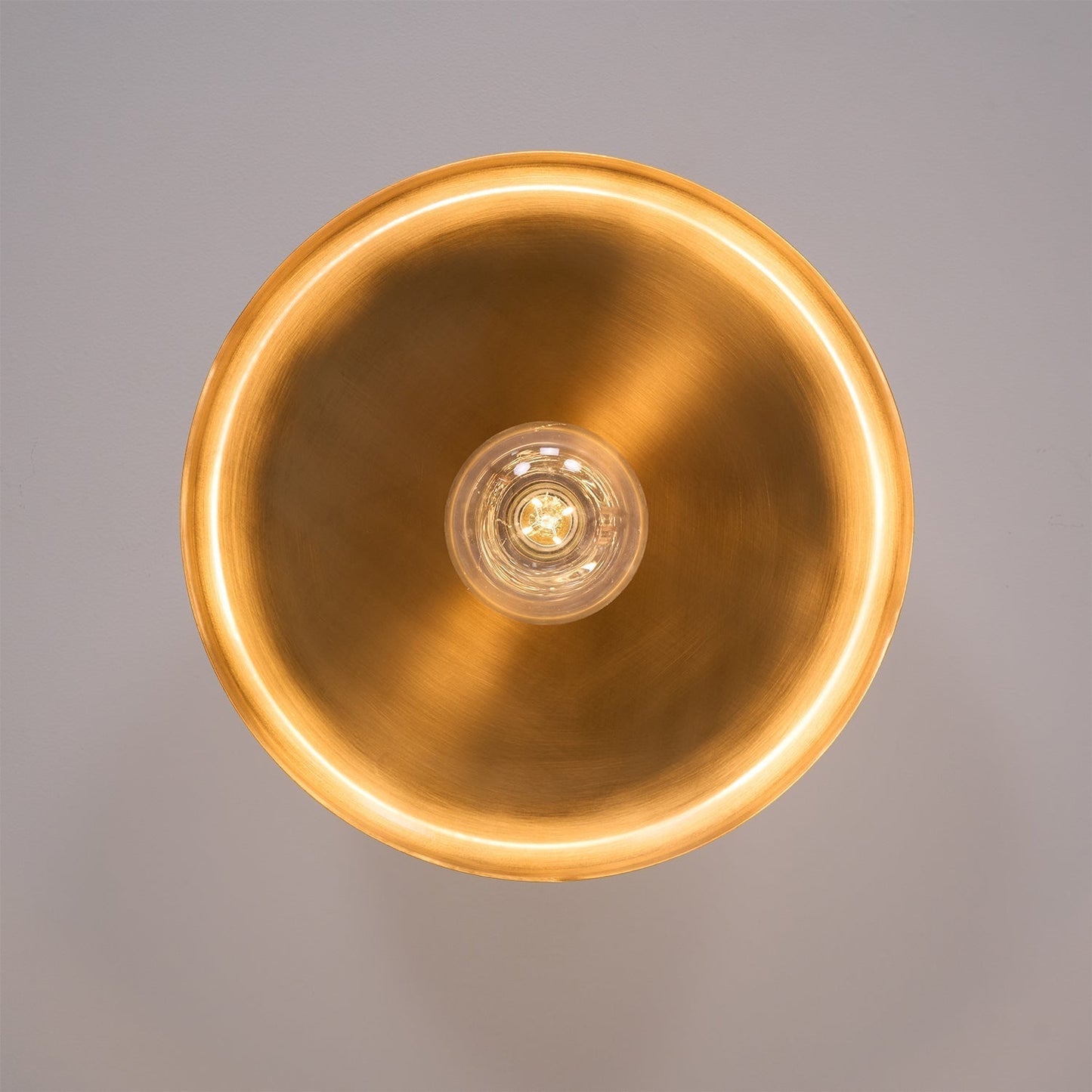 Disc Ceiling Light