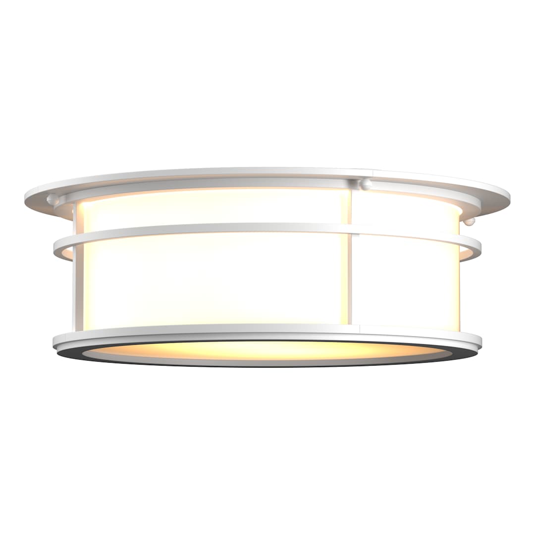 Province 2 Light 15" Wide Flush Mount Drum Outdoor Ceiling Fixture
