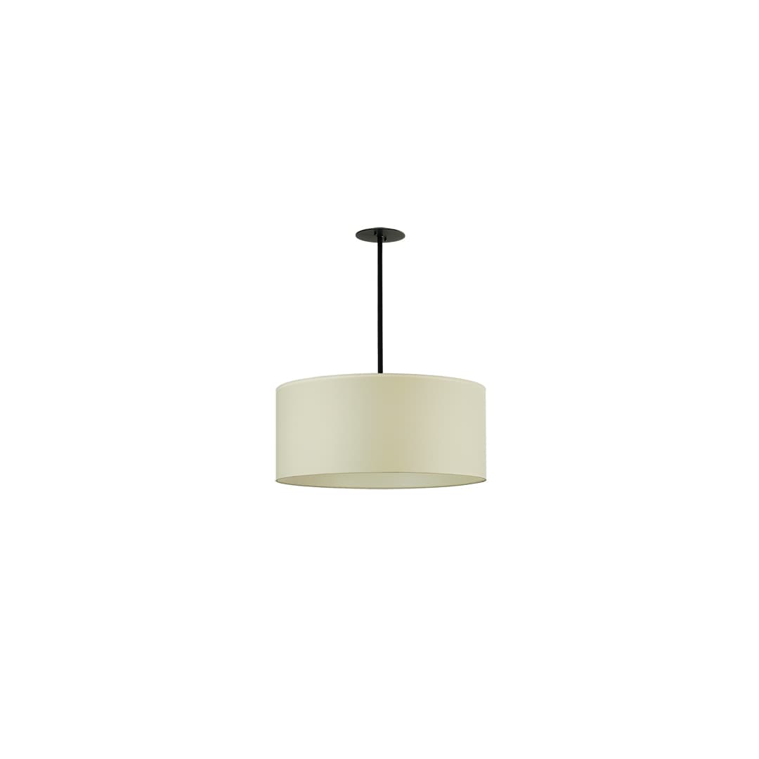 4 Light 30" Wide Pendant