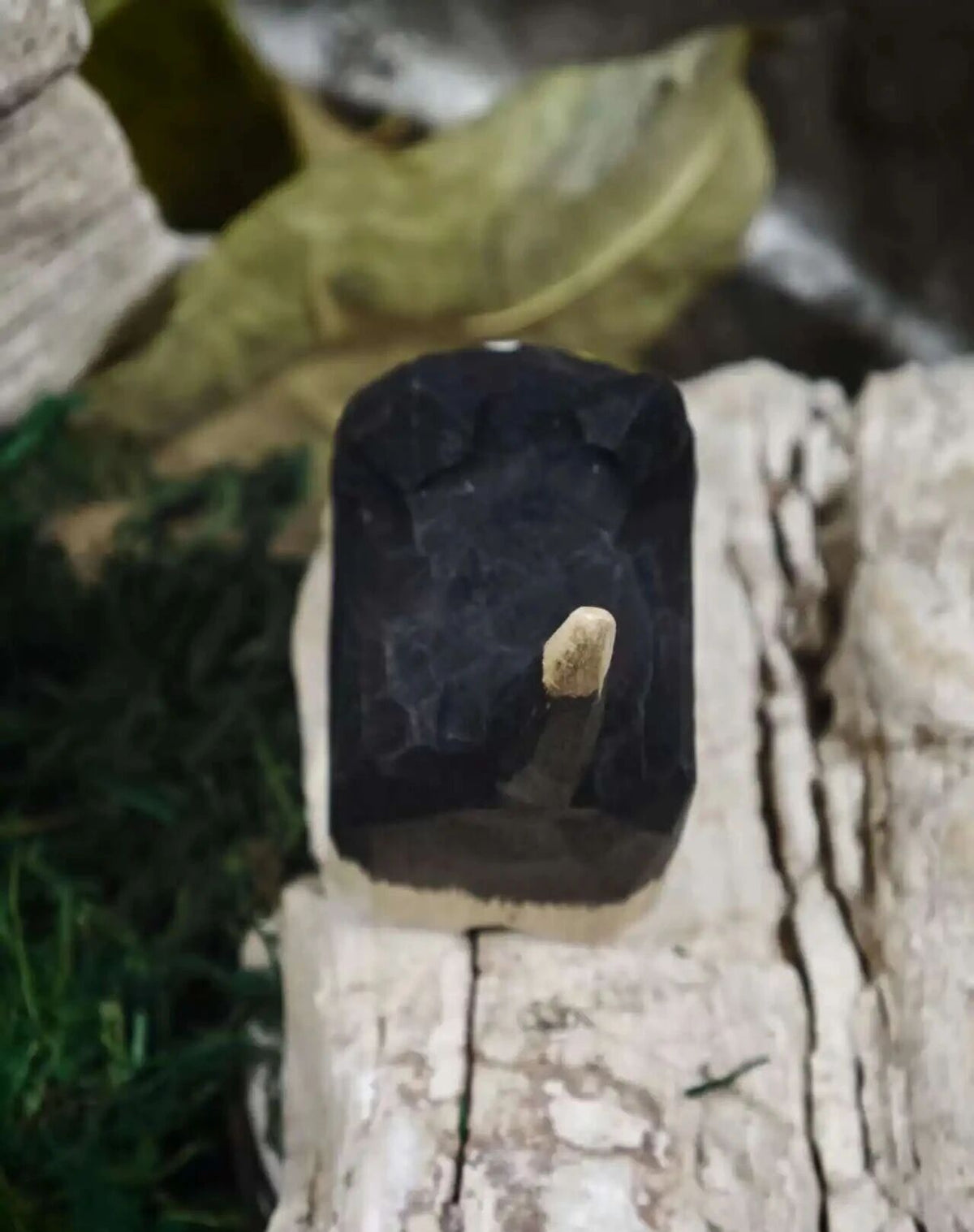 A small black rectangular object with a pointed beige tip, photographed standing upright on a weathered light wood surface with blurred natural foliage in the background.