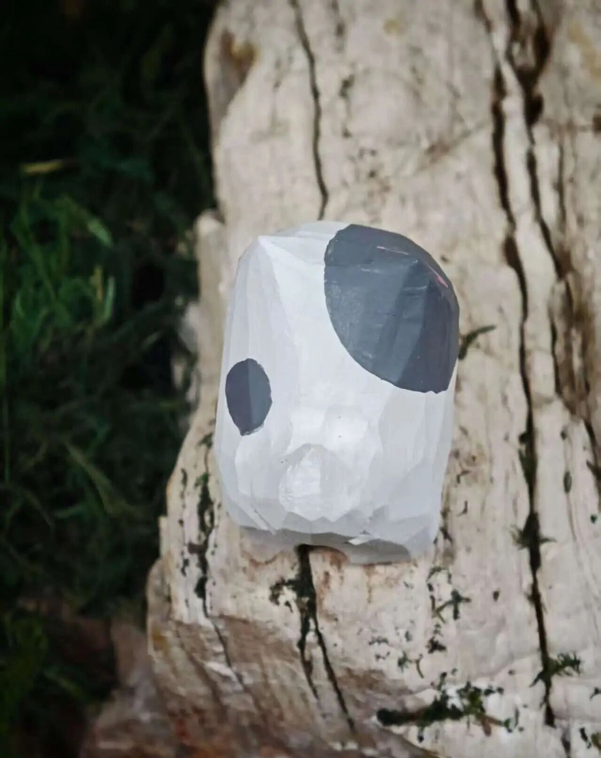 A handmade paper lantern with a white base and dark gray painted spots, displayed on a textured tree trunk outdoors.