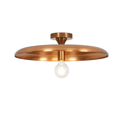 Modern Minimalist Iron Ceiling Light