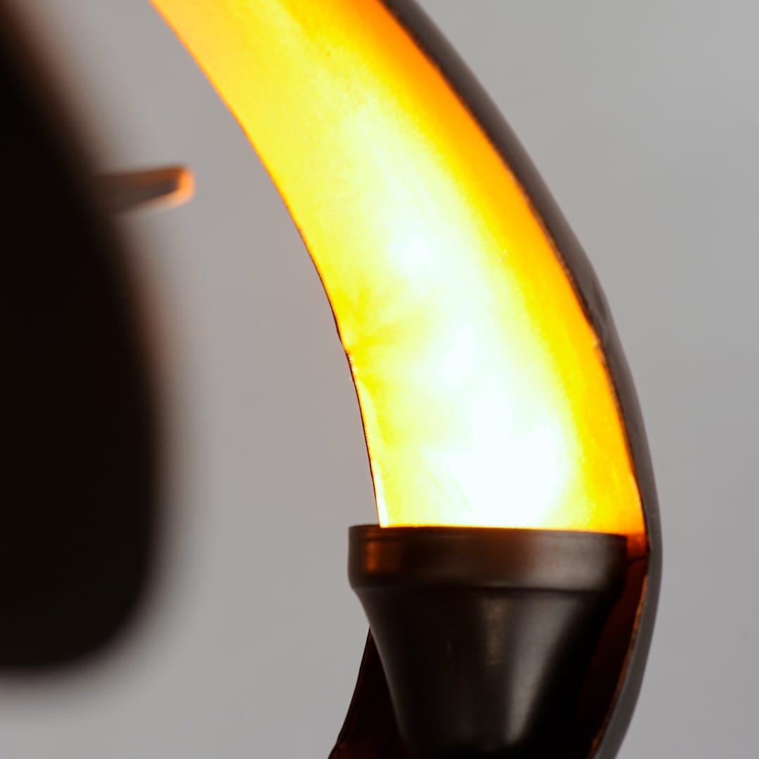 AMbience WiFi Enables LED Fandelight