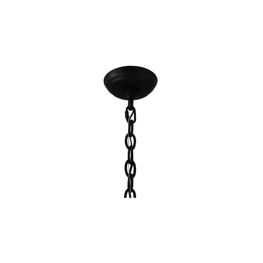 Corrina 8 Light 36" Wide Chandelier - Blackwash Finish