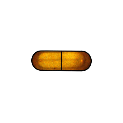 Lone Pine 2 Light 14" Wide Linear Pendant