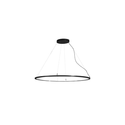 Anillo Ellipse 37" Wide Pendant