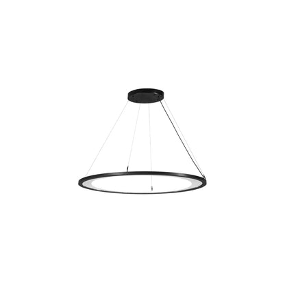 Anillo Ellipse 31" Wide Pendant