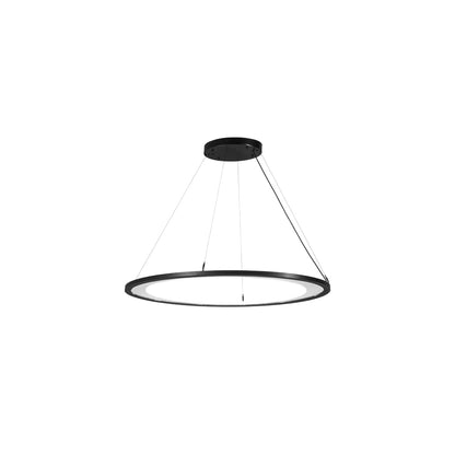 Anillo Ellipse 31" Wide Pendant