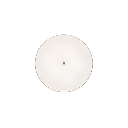 6 Light 36" Wide Pendant